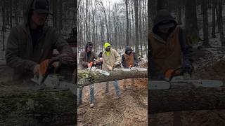 Stihl 500i vs Stihl 400c vs Stihl 291 #stihl #chainsawman #chainsaw #cuttingwood #madeingermany