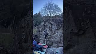 百夏　初段　白川