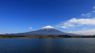 【Japan 1minute Travel Mt.FUJI Lake Tanuki-ko】富士山 田貫湖（真っ青な空と富士山、山頂に白龍みたいな雲がグルグルと！）