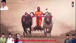 म्हात्रेपाडा यांच्या सुंदर आणि पिसार्वे चा सर्जा  bail gada sharyat YouTube family video