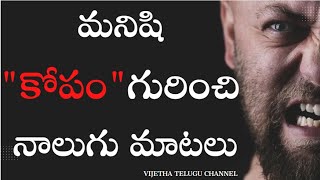 Few Words about Anger | మనిషి కోపం గురించి నాలుగు మాటలు