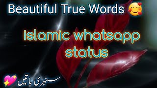 بہت اچھی لگتی ہیں☺️ | Islamic Whatsapp Status | True Words 💖🥰