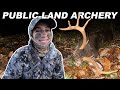 SADDLE HUNTING BUCK DOWN * BowHunting Deer *