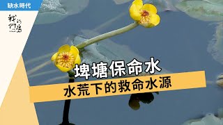 【缺水】埤塘保命水：水荒下的救命水源 (我們的島 第795集 2015-02-09)