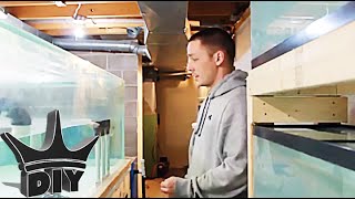 MY AQUARIUM HOBBY (UaruJoey) thekingofDIY.com