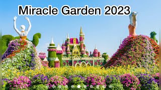 Miracle Garden Dubai 2023||The largest natural flower garden in the World #miraclegarden #abroad