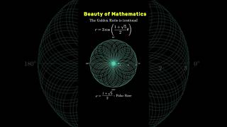 When Math Gets Beautiful (Golden Ratio Explained) golden rose in polar#maths