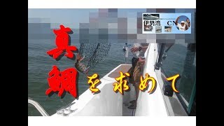 【海釣り情報】伊勢湾内の真鯛ポイント探索！