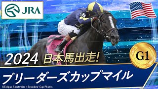 2024年 ブリーダーズカップマイル（G1） | モアザンルックス | JRA公式