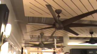 Lehr All-Weather Fan 54\