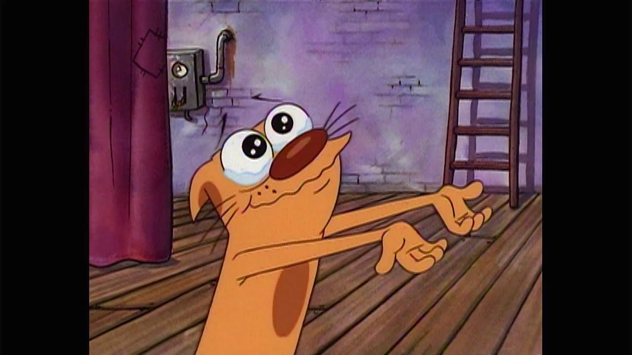 CatDog: Cat (3) - YouTube