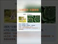 仁泽法师🧙‍♀️以德报怨vs以直报怨 智慧 因果 人生感悟 忏悔 分享 慈悲 感情 禅修 传统文化 shortsvideo