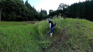 農業女子 2021.6草刈りノーカット長尺 広島県 世羅町