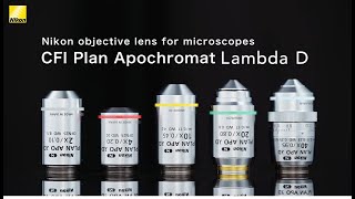 An Inside Look - CFI Plan Apochromat Lambda D Series Objective Lenses