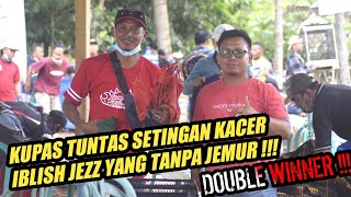 SETINGAN KACER TANPA JEMUR || BURUNG KIOS JADI JUARA IBLISH JEZZ.