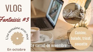 Vlog fantaisie #3 Tricot, balade, cuisine. La sortie du carnet de novembre🎶