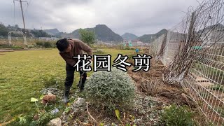 花园冬剪，过年的时候是最忙的时候。