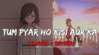 Tu Pyar Hai Kisi Aur Ka ( Slowed + Reverb) (Full Song) Film - Dil Hai Ke Manta Nahin @Mood90s