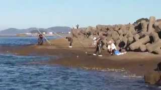 日曜日の田辺市元島天神崎の釣人