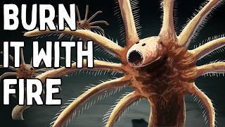 Prehistoric Creatures You're Glad Are Extinct