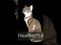 warrior cats heathertail