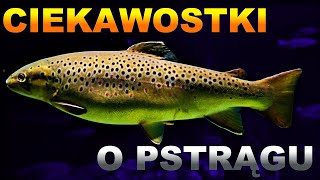 10 Ciekawostek O Pstrągach!