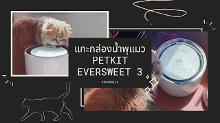 รีวิว+แกะกล่อง ⛲️น้ำพุแมว petkit eversweet 3 (รุ่นใหม่) 🐱| #MissAwika