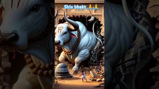 Shiv bhakt nandi #shiv #shiva #nandi #shivnandi #bholenath_status #bholenath #youtubeshorts #shorts