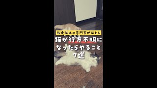 【脱走防止の専門家が伝える】猫が行方不明になったらやること7選#shorts  #猫の悩み# 猫# 迷い猫 #猫のいる生活 #猫バナ #ねこ工房 #脱走防止 #猫の脱走防止