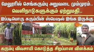 Sugarcane harvesting | Full swing | Melur | Export | Foreign countries | Special | Great explanation