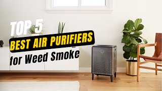 The  Best Air Purifiers for Weed Smoke 2024