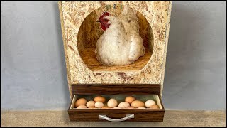 Sıradışı Fikirler | Otomatik ve Akıllı Yumurta Folluk Yapımı