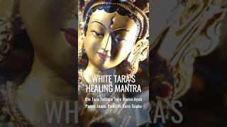 White Tara Healing Long Life Mantra chant along #shorts #buddhistmantras #sanskritmantra #tara