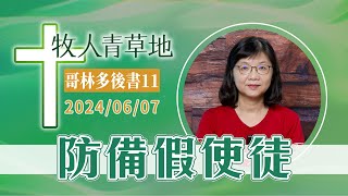 防備假使徒│哥林多後書11│20240607牧人青草地│EP711