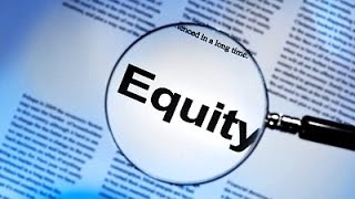 What is The Equity Multiplier?
