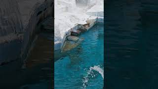 【帰宅の瞬間】ホウちゃん　皆さま今日も推し事お疲れさまでしたー！ 天王寺動物園のホッキョクグマ 23.3.18 16:00