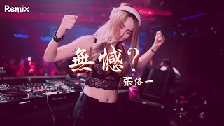 張洛一 - 無憾？ - [慢搖DJ舞曲] - 2023年最勁爆的DJ歌曲  - [Chinese Dj Remix 2023]