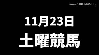 土曜競馬　キャピタルステークスだよ✨