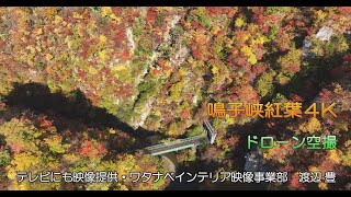 【鳴子峡紅葉４Kドローン空撮】2023.11  『めざましテレビ』や『秘密のケンミンSHOW』などにも提供。普段は見れないアングルで撮影❣️