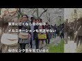 日本旅行で出会った忘れられない光景がコレ！日本の春にはこんな桜の絶景が見れるようです　海外の反応