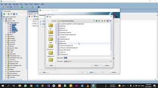How to export database in oracle 11g in sql form