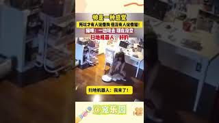 帅是一种感觉 猫也可以 #搞笑 #游戏 #熱門 #抖音 #電影 #funny #搞笑 #movie #超燃 #shorts #china #貓 #cat #cute #萌宠 #萌寵 #萌貓