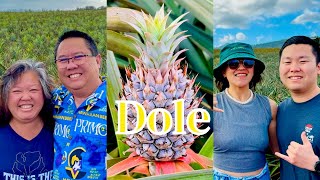 HAWAII Private Dole Pineapple Tour PLUS Tasty Eats!