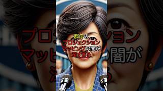 都庁のプロジェクションマッピングの経緯や詳細な数値が一切公表されず闇深い！#小池都知事#都庁プロジェクションマッピング#都庁#都知事選