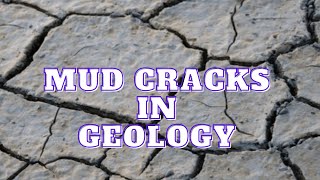 What are mud cracks - How do mud cracks form - types of mud cracks - Examination of mud cracks