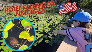 HOTEL LINDO NO MEIO DA NATUREZA #usa #eua #florida #orlando #estadosunidos