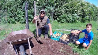 Early Summer Garden Harvest | Vegetables & Potatoes