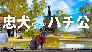 【忠犬の物語】日本のハチ公 vs 海外のハチ公 vs 愛犬のフィっちゃん！【感動の車中泊旅での出会い】