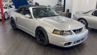 04 TERMINATOR VERT @ COSMO MOTORS