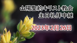 2023年 2月 26日  第四主日礼拝　『 モーセの生涯　総集編３ 』 出エジプト記 16章  13 ～ 30節